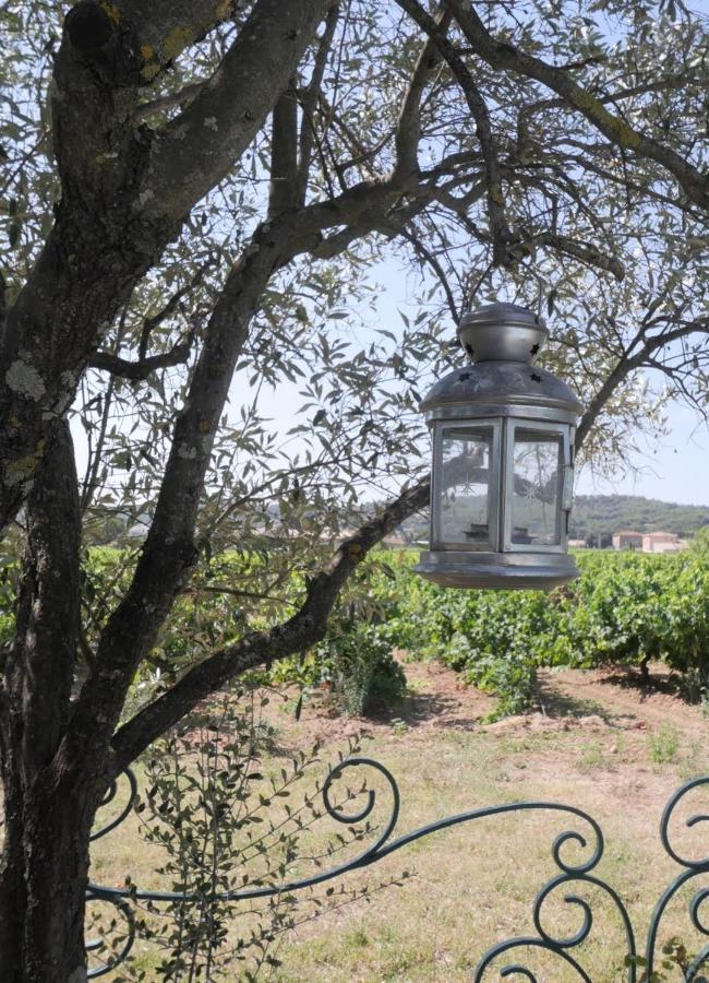 فندق Maison D'Hotes Le Mas Des Vignes Rochegude  المظهر الخارجي الصورة
