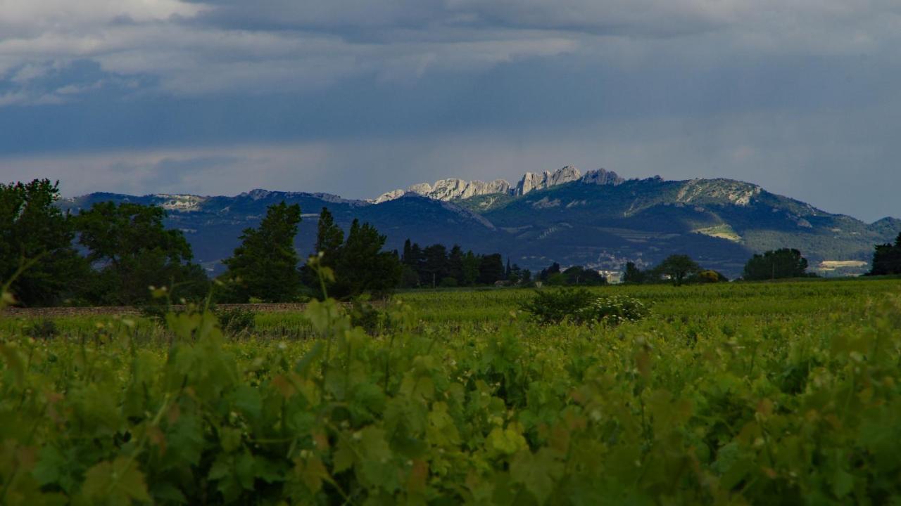 فندق Maison D'Hotes Le Mas Des Vignes Rochegude  المظهر الخارجي الصورة